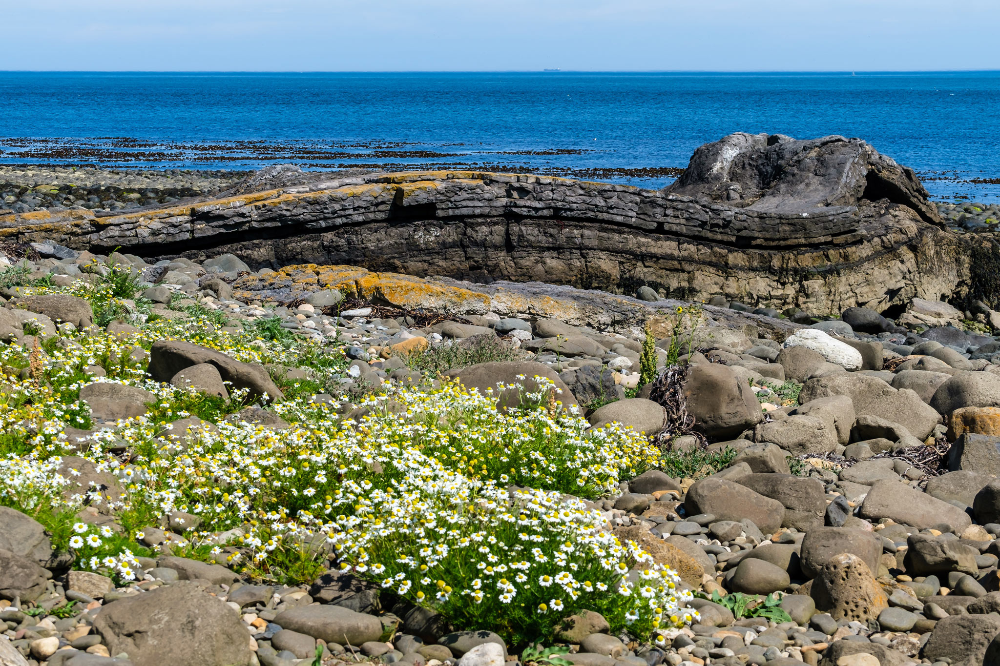Dunstanburgh